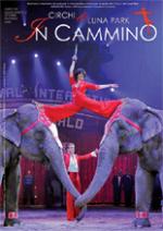 In Cammino - Anno XVII - N. 4 ottobre-dicembre 2008